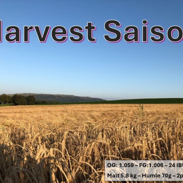 Harvest Saison