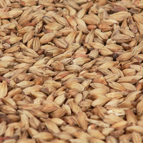 Amber Malt (EBC 65)