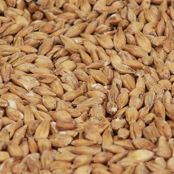 Acid Malt (EBC 6-12)