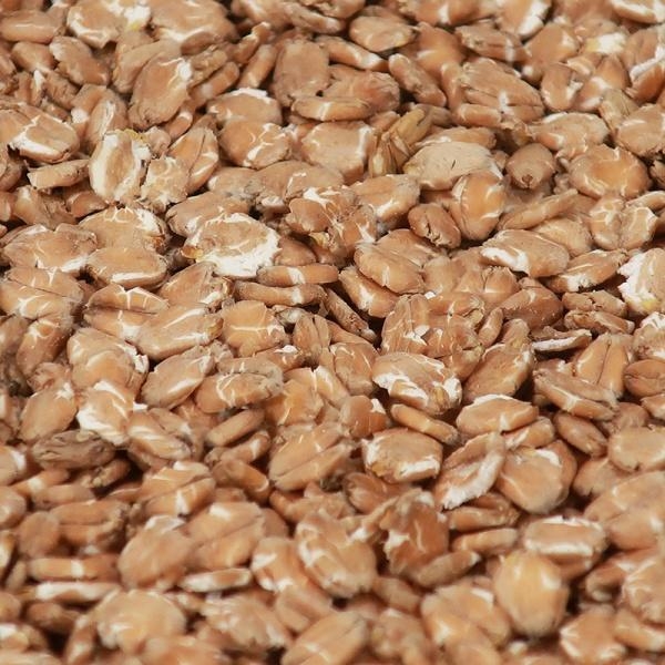 Chit Wheat Flakes (EBC 3-7)