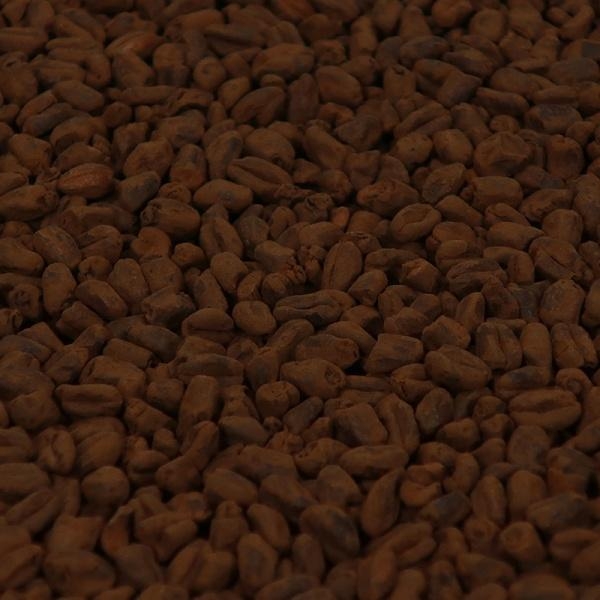 Wheat Chocolate Malt (EBC 800-1100)