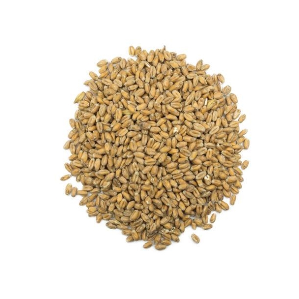 Viking Wheat (EBC 3-5,5) 25kg sekk