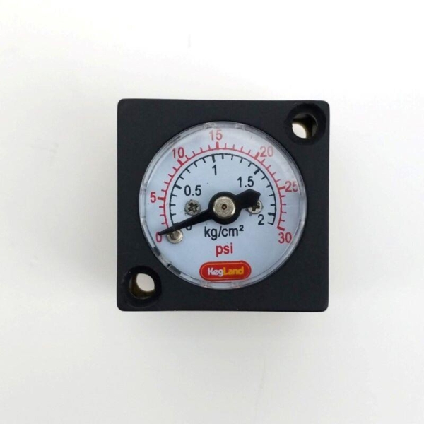 Mini gauge 0-30 psi (0-2 bar)