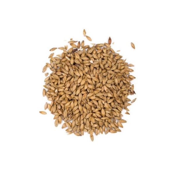 Eraclea Pilsner Malt (EBC 2-4)