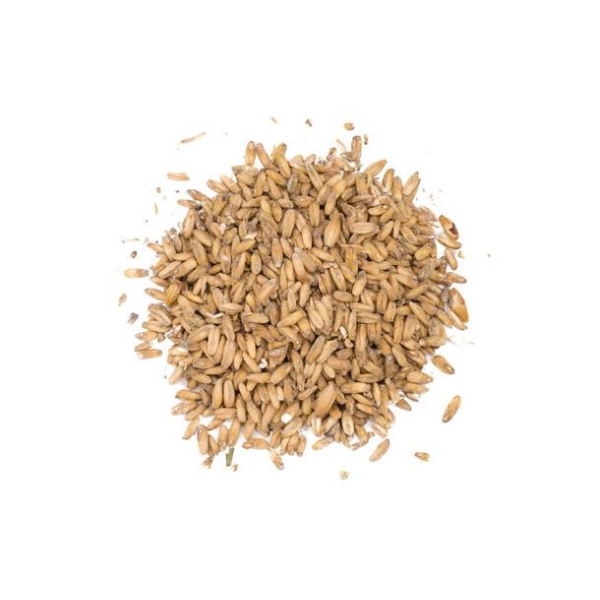 Oat (EBC 3-6,5)