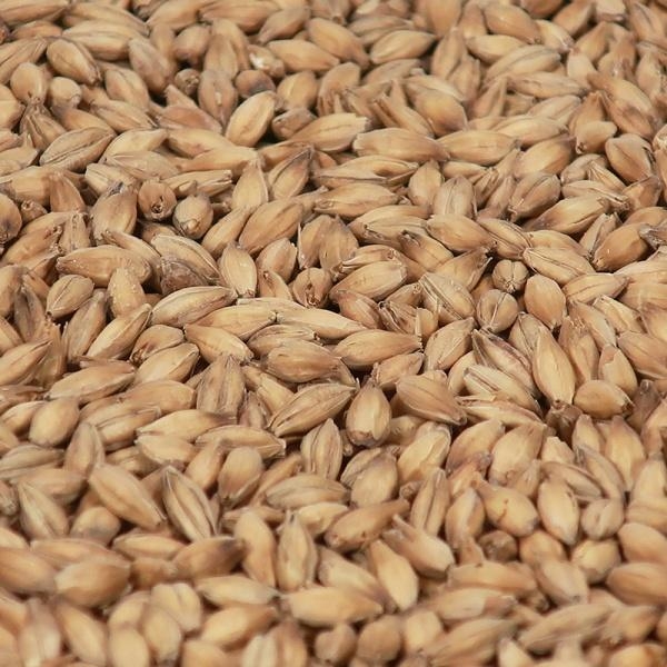 Peated Malt (EBC 2,5-3,7)