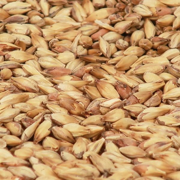 Cara Clair (EBC 3-7)