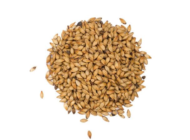 Caramel 300 (EBC 270-330)