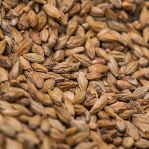 CaraMunich II (EBC 120)