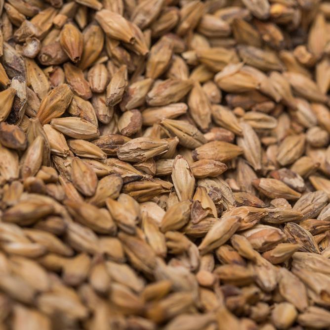 CaraMunich II (EBC 120)