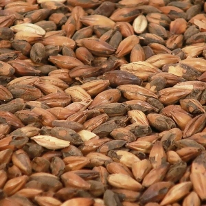 Brown Malt (EBC 125)