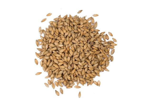 Vienna Malt (EBC 7-10), 25kg sekk