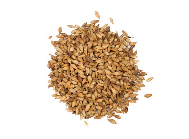 Caramel 200 (EBC 180-220)