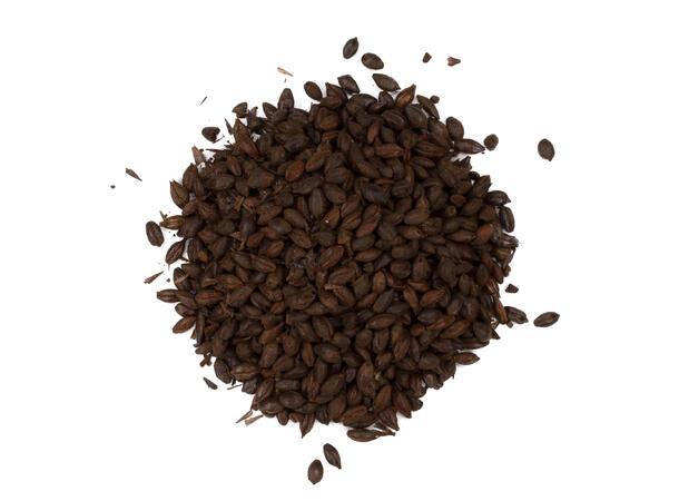Roasted Barley (EBC 900-1200)