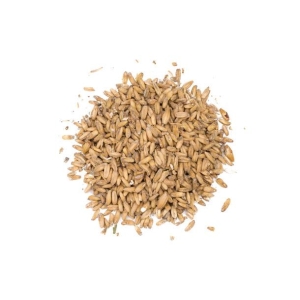 Oat (EBC 3-6,5)