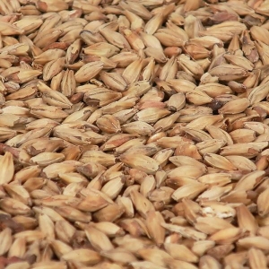 Amber Malt (EBC 65)