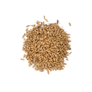 Eraclea Pilsner Malt (EBC 2-4)