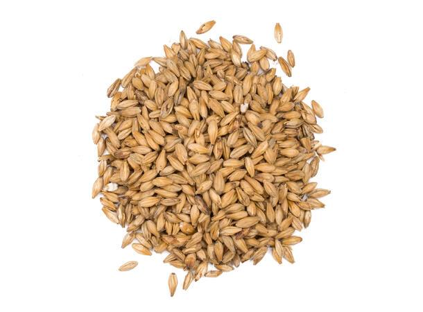 Smoked Wheat (EBC 10)