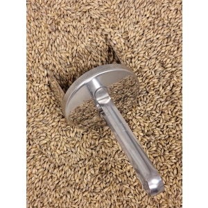 Nybegynnerkurs i ølbrygging 19. november