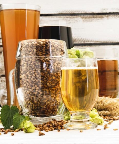 Bryggekurs/teambuilding for firmaer