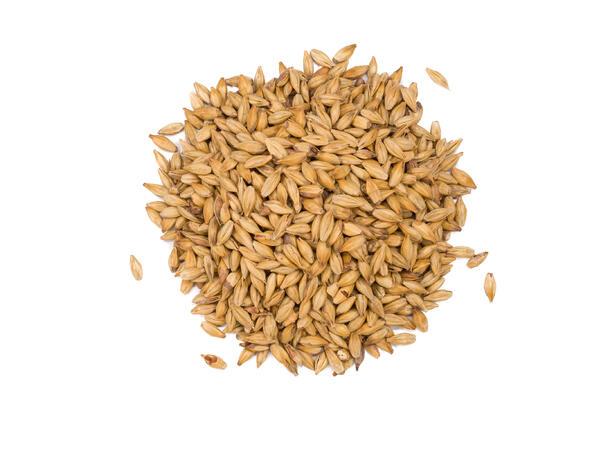 Caramel 50 - (EBC 40-60)