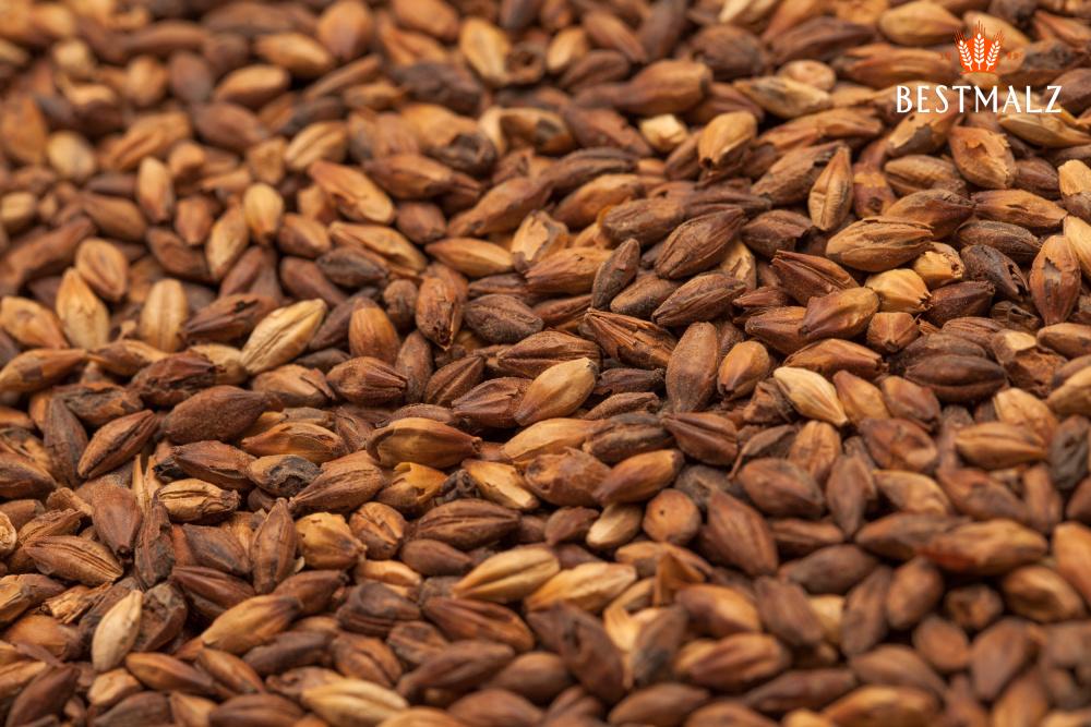 Best Special X (350 EBC)