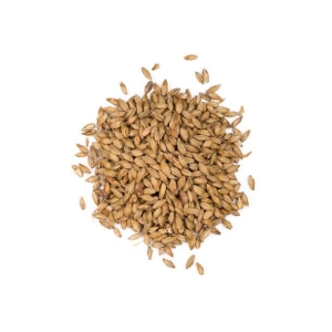 Viking Munich Light Malt (14-18 EBC)