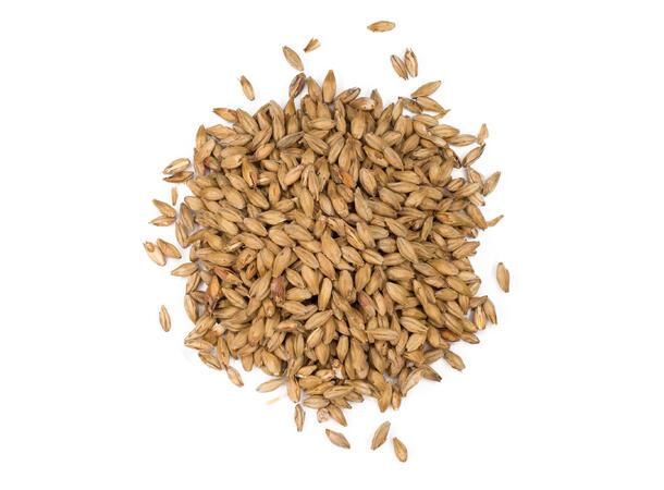 Viking Munich Light Malt (14-18 EBC)