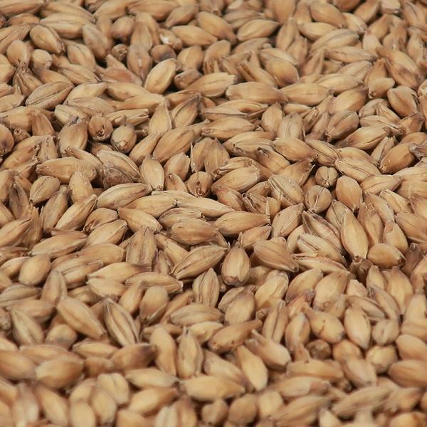 Crisp Maris Otter Pale Ale (EBC 5,5-8), 25kg sekk