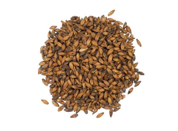 Chocolate Light (EBC 350-450)