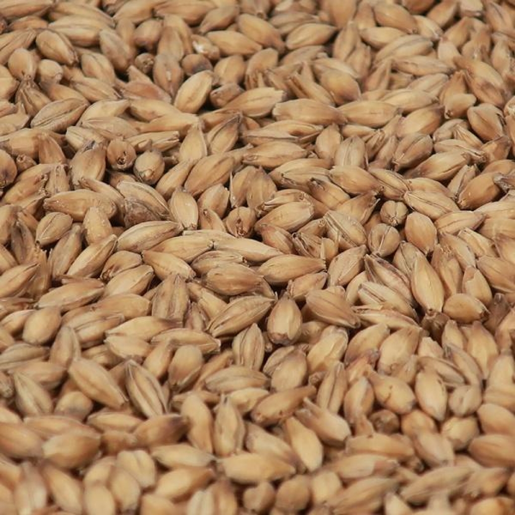 Smoked Malt (EBC 4-12)