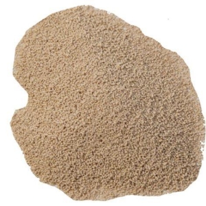 Lallemand Lalvin EC1118 125g