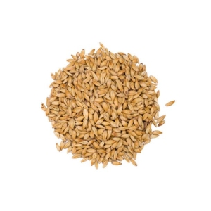 Golden Ale (EBC 9-14)