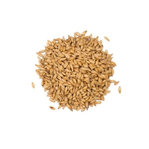 Caramel 50 - (EBC 40-60)